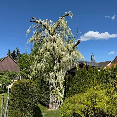 Tiny House Am Dillich - Schwimmteich - Klimaanlage - Hunde Willkommen - Eigener Garten Dom wakacyjny Borken (Hessen)