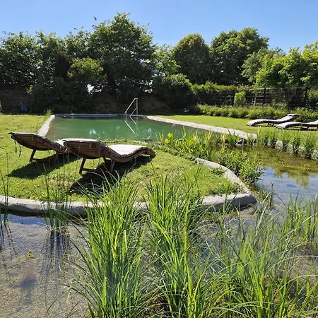 Tiny House Am Dillich - Schwimmteich - Klimaanlage - Hunde Willkommen - Eigener Garten Borken (Hessen)