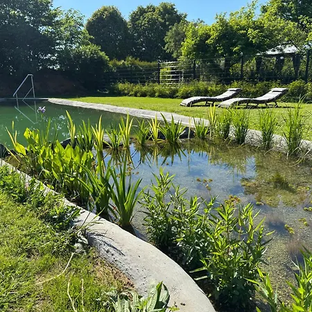 Tiny House Am Dillich - Schwimmteich - Klimaanlage - Hunde Willkommen - Eigener Garten Borken (Hessen)