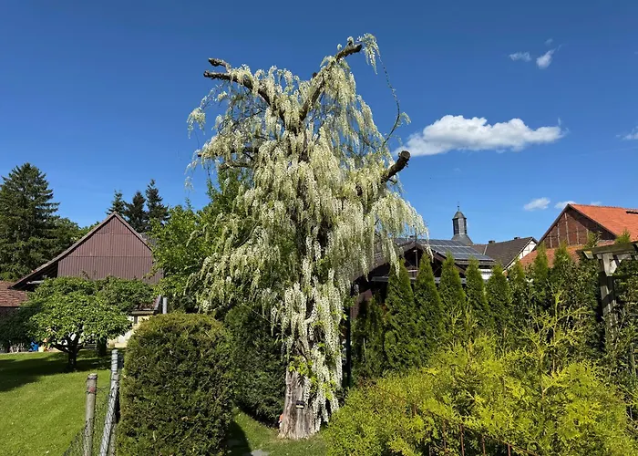 Tiny House Am Dillich - Hunde Willkommen - Eigener Eingezaeunter Garten - Ruhige Lage - Klima Nyaraló Borken